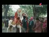 groom falling from horse v funny