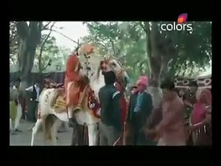 groom falling from horse v funny