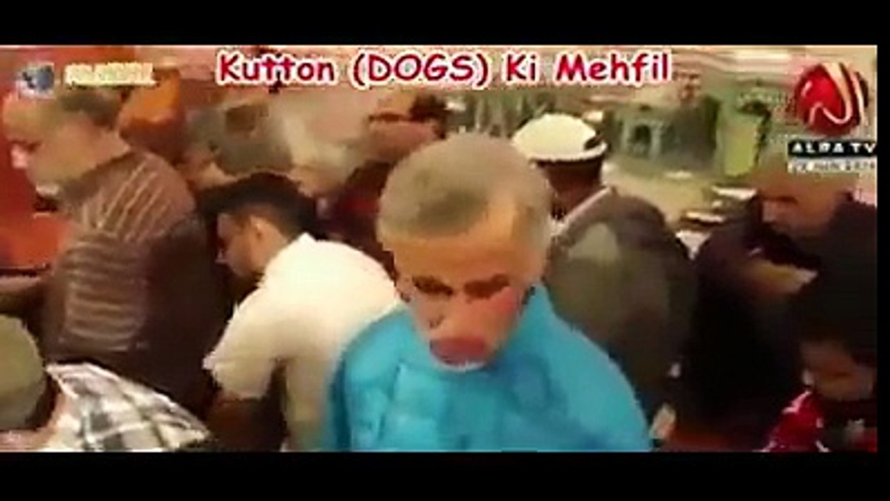 juifpakistan..Gohar Shahi k Kutte....