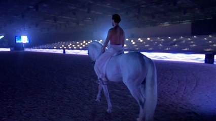 Salon du Cheval de Paris 2014: dans les coulisses du spectacle équestre