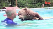 Cute Baby Bear Rides Surfboard