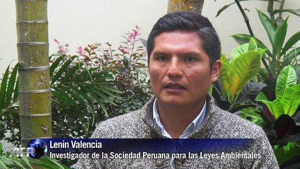 Minería ilegal devasta bosques peruanos