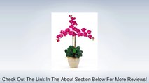Triple Stem Phalaenopsis Silk Orchid Flower Arrangement Review