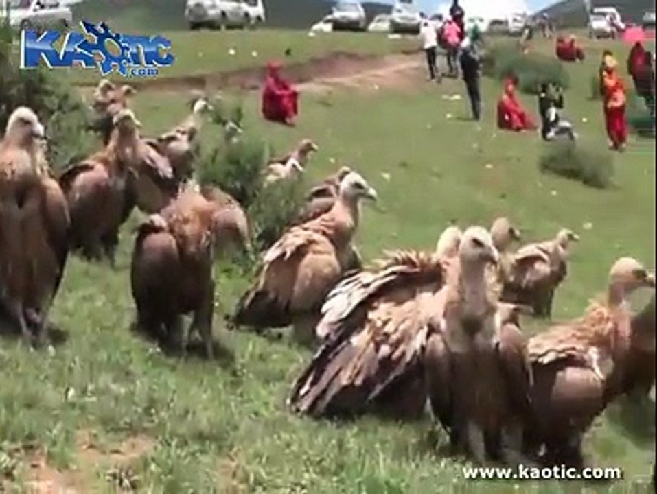 18+ Video ... If U Have Dear To Watch Out This Stupidity ...