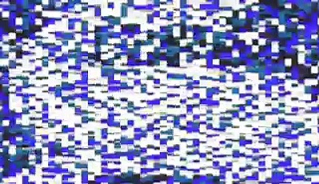 Rare white tiger cubs born in Japan - Courtesy The Guardian