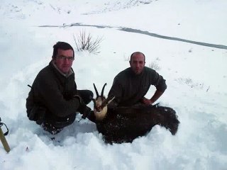 Chasse Chamois Villar d'Arene