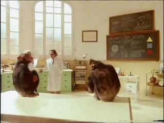 The evolution of humans in a minute