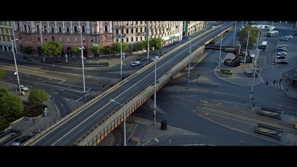 White God de Kornel Mundruczó