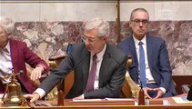 Assemblée Nationale - Reconnaissance de l'Etat de Palestine | #DirectAN