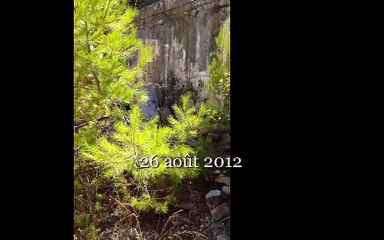 26 août 2012-Large