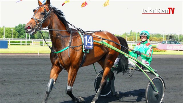 L'écurie du Parisien. Les trotteurs à l'honneur