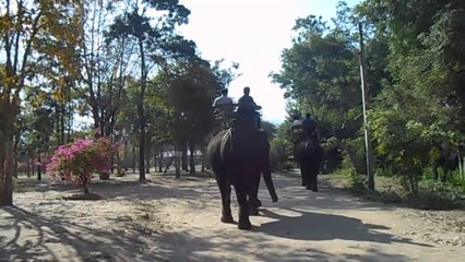 Elephants vers Kanchanaburi 2014