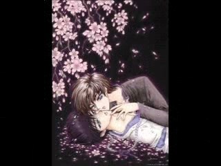subaru/hokuto/sei-chan tribute