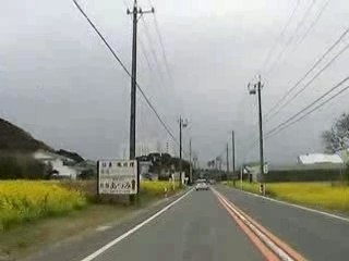 20070225_菜の花ツーリング