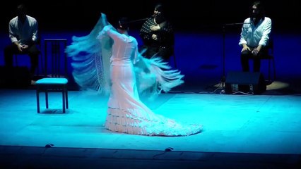 Театр фламенко "ANDALUCIA"  (Испания). Пенза 25.11.2014 (3)