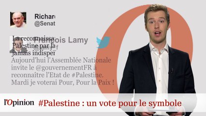 #tweetclash : #Palestine : un vote pour le symbole