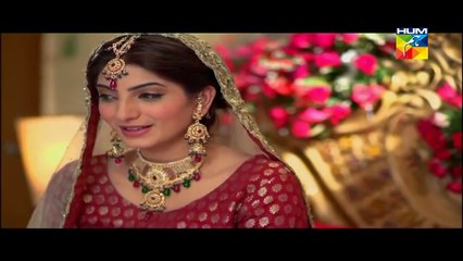 Agar Tum Na Hotay Episode 40 HUM TV Drama_2