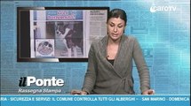 Rassegna Stampa IL PONTE del 28 Novembre 2014