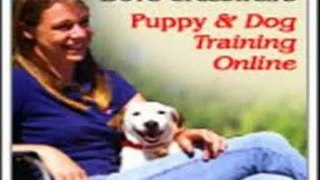 Dove Cresswells Dog Training Online + Dove Cresswells Dog Training Online Programs
