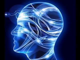 Mindzoom Full Español Programa
