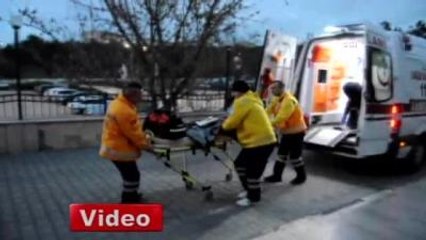 7'inci Kattan Düşen Çocuğu Kurtardı