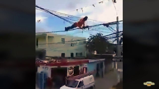 Compilation de truc dingue : WTF!! Novembre 2014