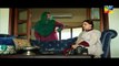Mohabbat ab nahi hogi Episode 5 Hum TV Drama