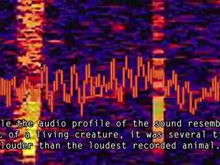 5 Most Mysterious Sounds Ever Recorded