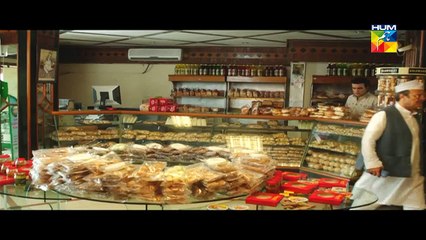 Susraal Mera Episode 17 HUM TV Drama Full Episode