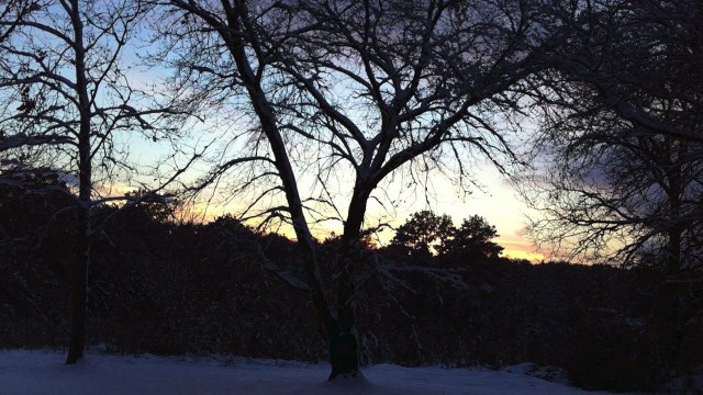 Silent Night Jazz Tenor Saxophone