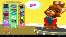 Kitty Cats - Android gameplay PlayRawNow