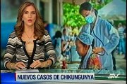 Dos nuevos casos de chikungunya en Ecuador