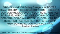 STK's Sony NP-FH Battery Charger - for BC-TRP, Sony HDR-SR11, DCR-SR45, DCR-SR47, HDR-SR12, DCR-DVD108, DCR-DVD650, DCR-HC52, HDR-HC9, DCR-SR42, HDR-CX100, DCR-DVD610, DCR-HC21, DCR-SX40, DCR-SX41, HDR-SR10, DCR-HC26, DCR-HC28, HDR-HC3, HDR-HC7, HDR-XR500