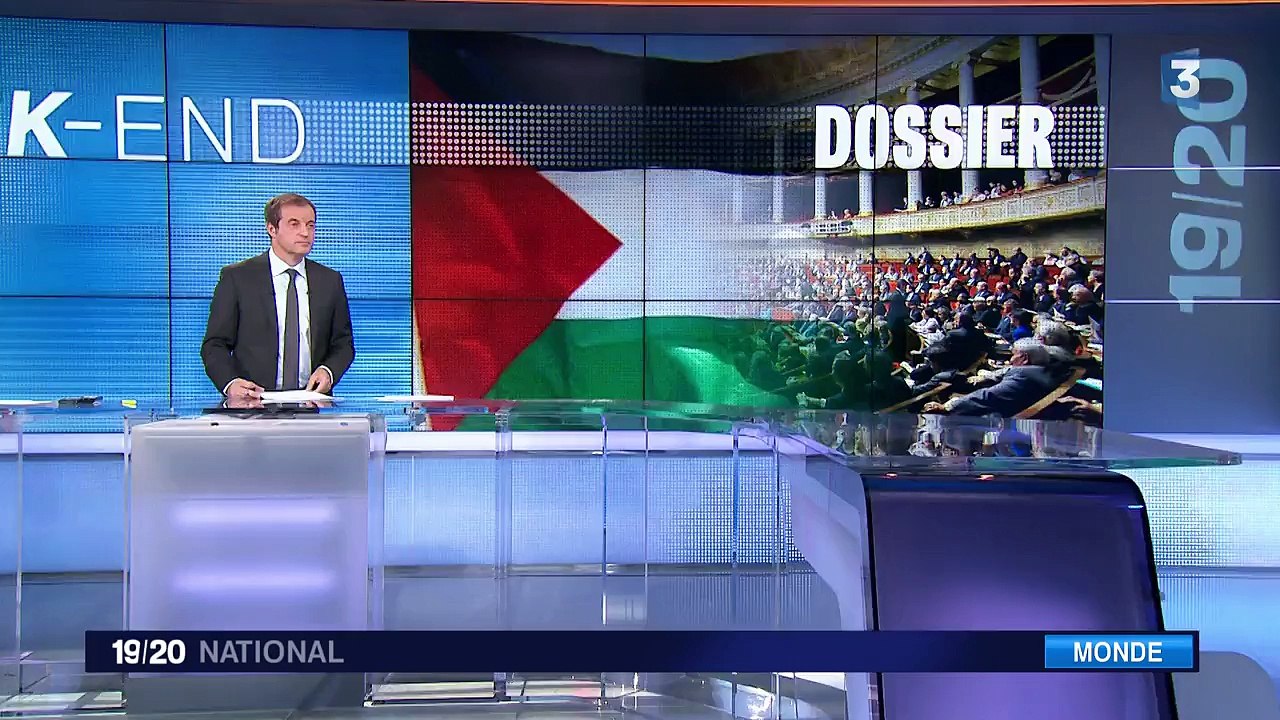 La reconnaissance de l'Etat palestinien divise l'Assemblée nationale