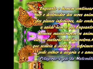 Filosofia vegetariana