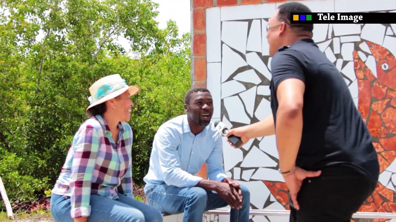 TELE IMAGE - SPECIAL ILE A VACHE, PROJECT FONTAINES D'EAU ET CENTRE COMMUNAUTAIRE