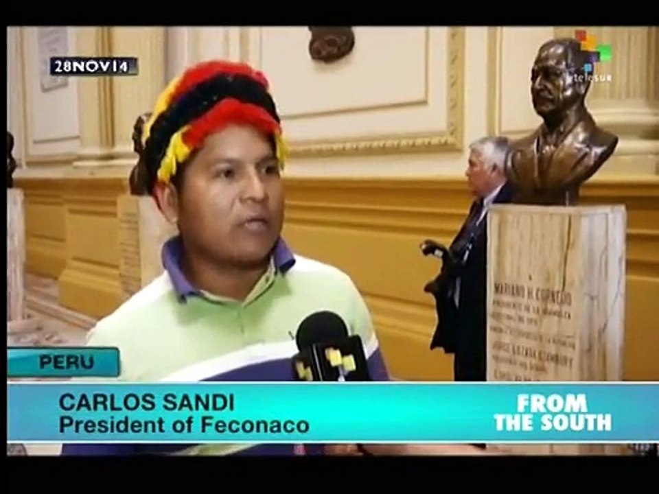 Ahead of COP20 conference, activists raise environmental demands