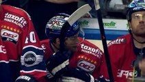 Eisbaeren Berlin Vs. Krefeld Pinguine