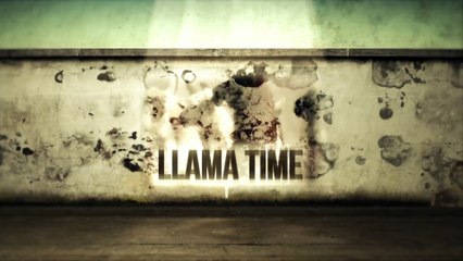 Llama Time - Optimism and the Arab Spring