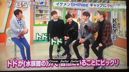 [SUB ESP] 141125 SHINee - Ichioshi Morning