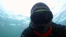 Praias, Mares, Barcos, Canoagem, Mar Aberto, Cavernas Submarinas, Mergulhos Submarinos, Picinguaba, Ubatuba, SP, Brasil, Marcelo Ambrogi, (28)