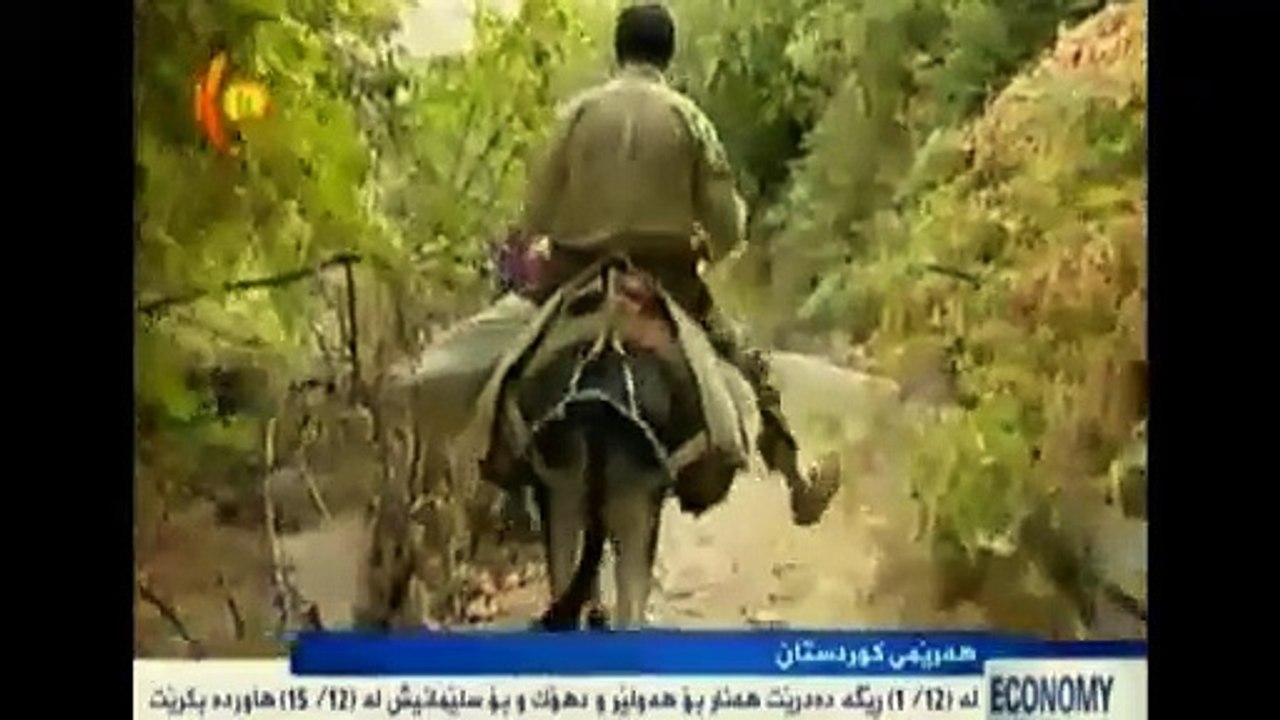 Hinartina Hinarê ji bo derveyê Herêma Kurdistanê jî bi qanûna kurdan pêk tê û em sax.