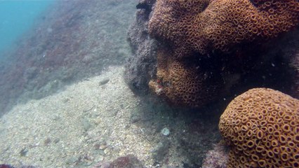 Praias, Mares, Barcos, Canoagem, Mar Aberto, Cavernas Submarinas, Mergulhos Submarinos, Picinguaba, Ubatuba, SP, Brasil, Marcelo Ambrogi, (33)