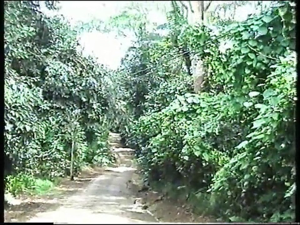 2.Anse à la mouche