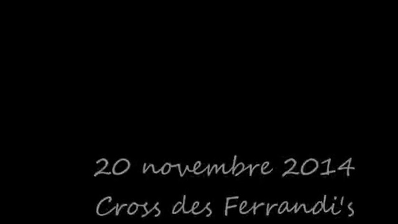 Cross-2014