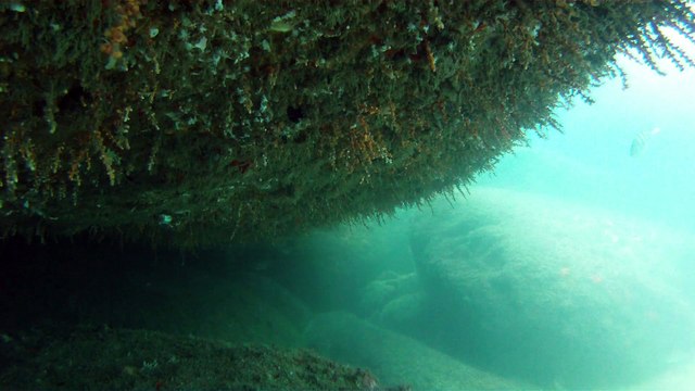 Praias, Mares, Barcos, Canoagem, Mar Aberto, Cavernas Submarinas, Mergulhos Submarinos, Picinguaba, Ubatuba, SP, Brasil, Marcelo Ambrogi, (36)