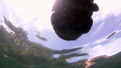 Praias, Mares, Barcos, Canoagem, Mar Aberto, Cavernas Submarinas, Mergulhos Submarinos, Picinguaba, Ubatuba, SP, Brasil, Marcelo Ambrogi, (37)