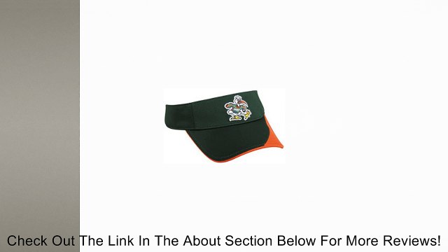 College Replica Visors-One Size Fits All (EA) Review