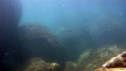 Praias, Mares, Barcos, Canoagem, Mar Aberto, Cavernas Submarinas, Mergulhos Submarinos, Picinguaba, Ubatuba, SP, Brasil, Marcelo Ambrogi, (38)