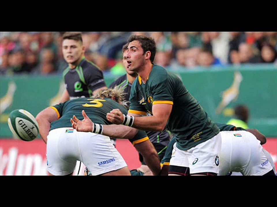 Live Rugby Stream South Africa vs Wales video Dailymotion